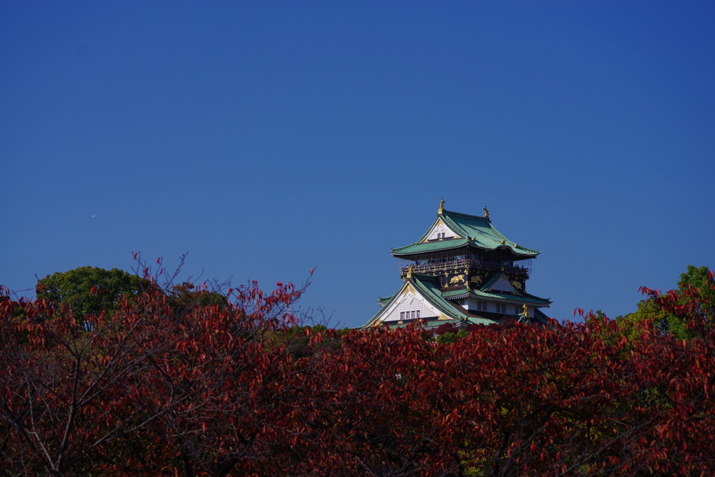 碧と紅と天守と