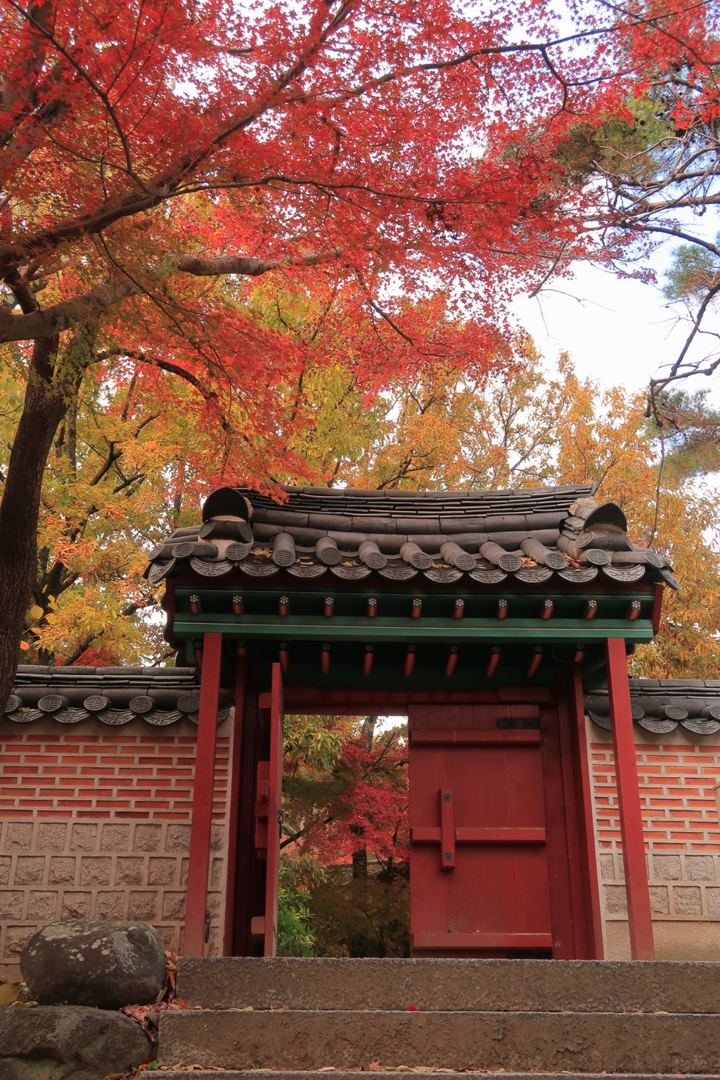 紅の景色