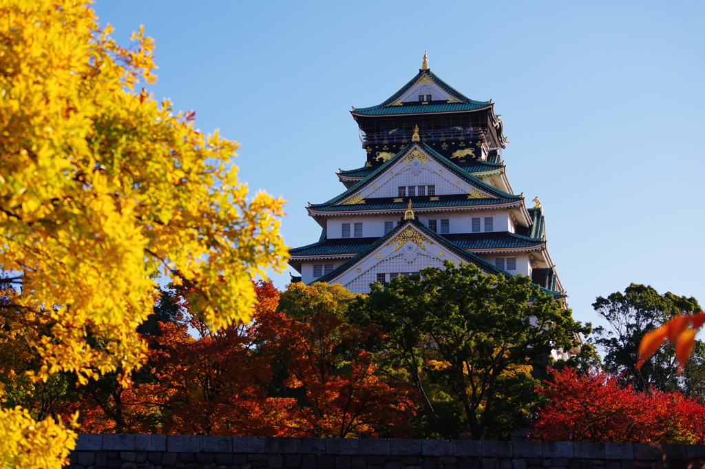 紅葉とお城-2