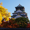 紅葉とお城-2