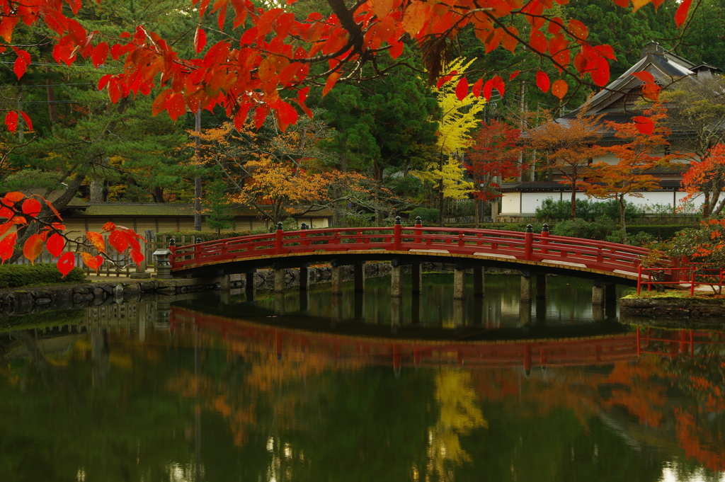 高野山 秋景色