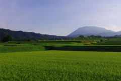 朝の大山さん-2