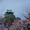 天守に梅を添えて