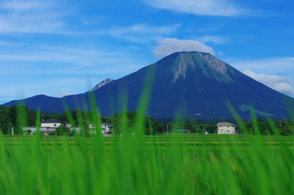 青空と大山さん