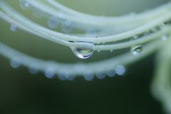 雨後の明かり