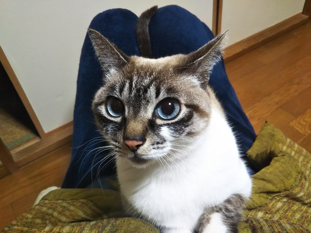 食後のひととき