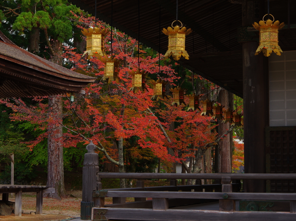 壇上伽藍の秋