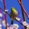 こんにちは・・・
