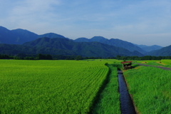 豊穣待つ里山