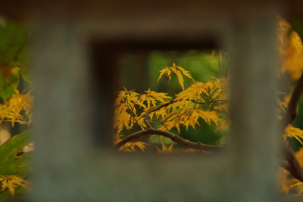 石灯籠に紅葉