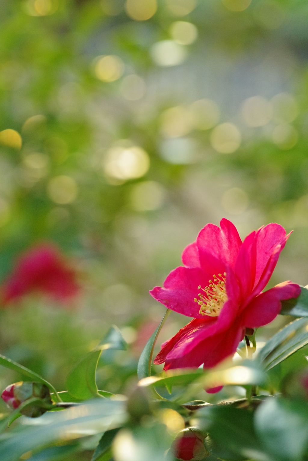 冬へのプロローグ