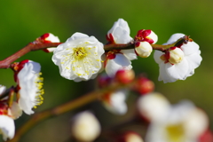 香篆