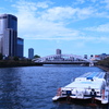 大川寸景