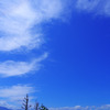 空