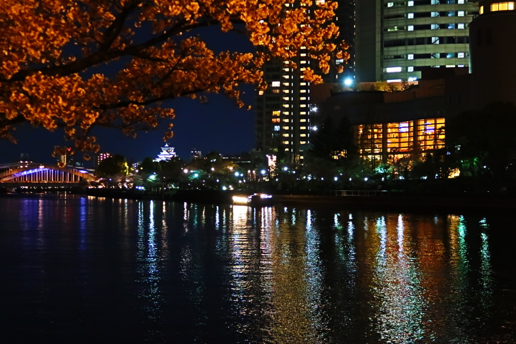 大川夜景－桜を添えて－
