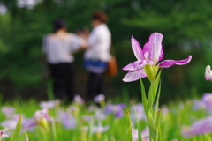幸せな景色
