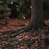 晩秋の佇まい
