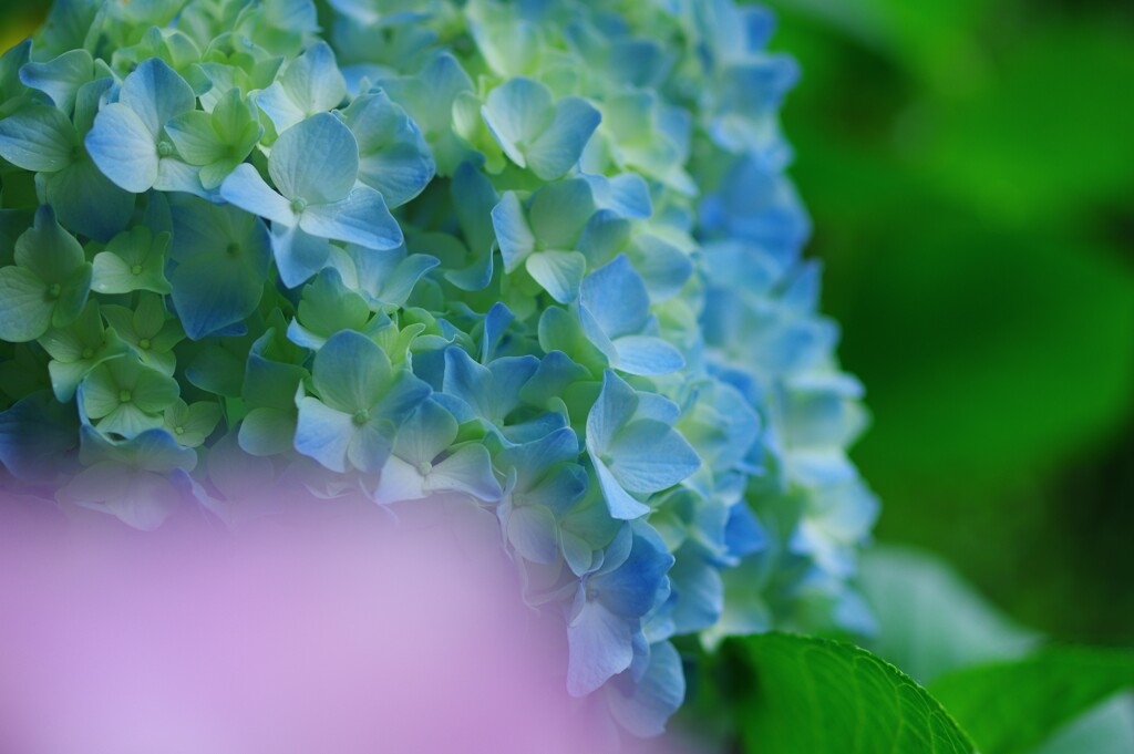 Light blue