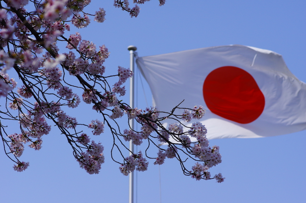 平成最後の桜－国旗と共に－