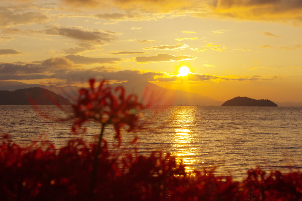 湖西の夜明け