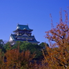 錦秋の天守閣