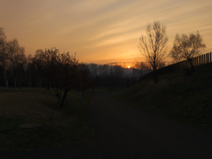 PM2.5の中の夕日