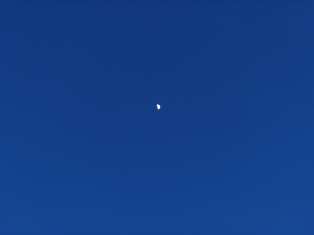 月に祈る