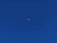 月に祈る