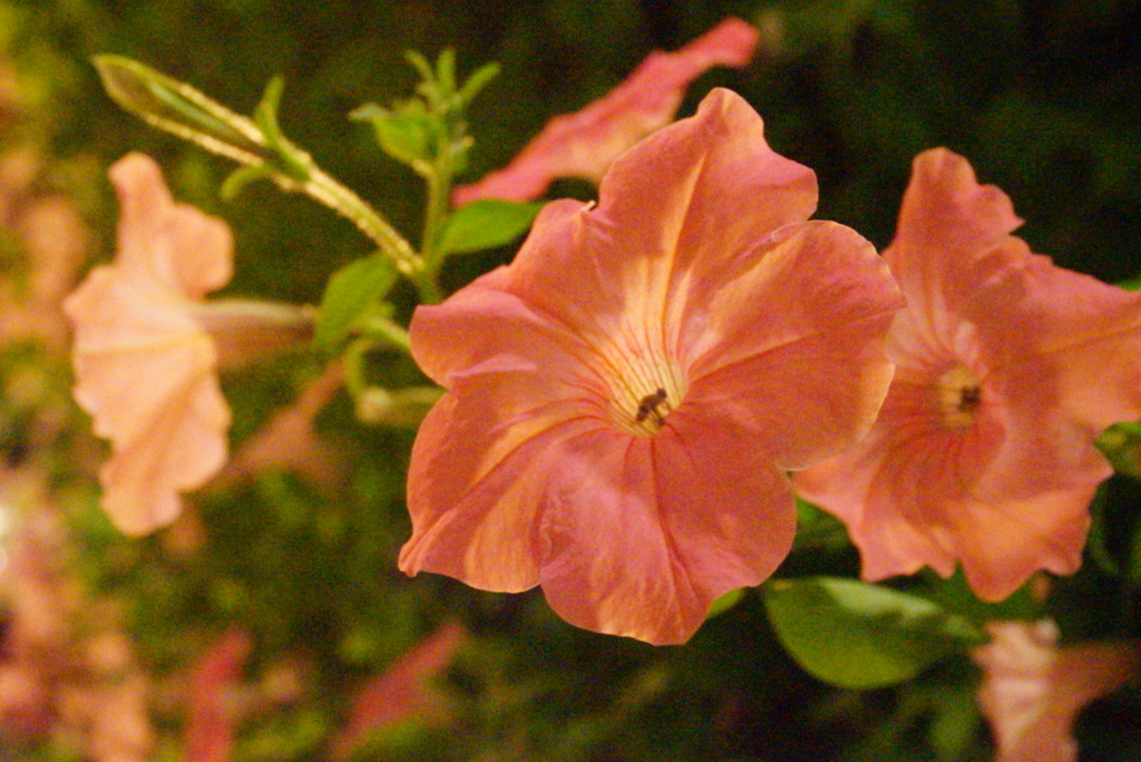 D73759BB-D0DC-45F6-A01E-B292F81C01D4