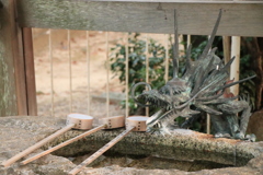 龍の清水所