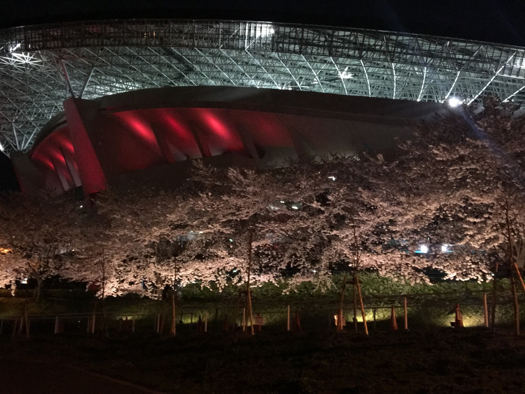 埼玉スタジアム with 夜桜