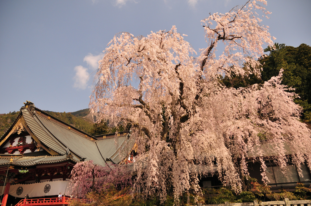 久遠寺