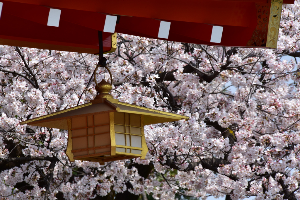 東伏見稲荷神社