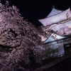 夜桜と城