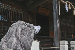 狛犬ならぬ狛いのしし