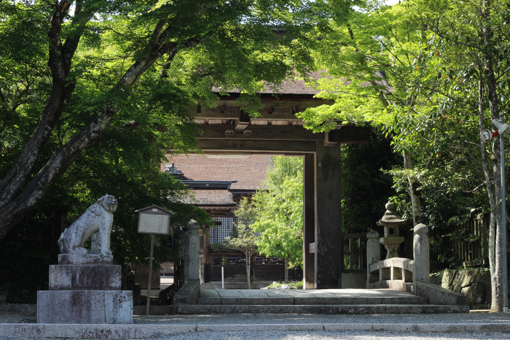 中山神社5