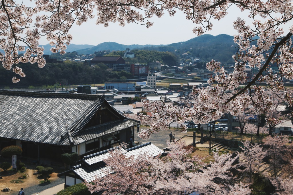 鶴山公園その4