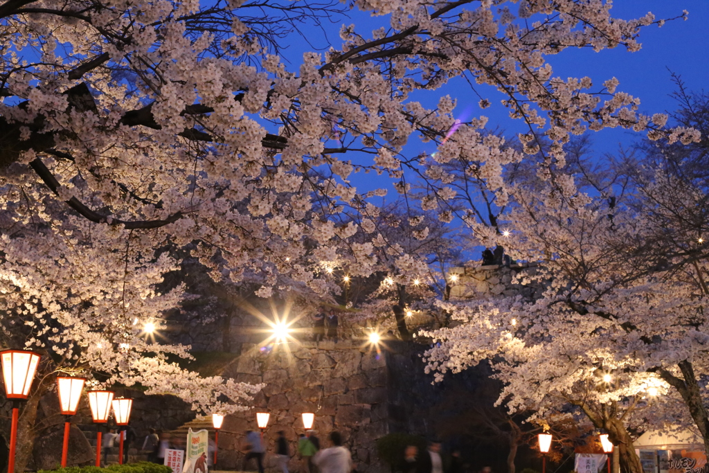 鶴山公園 その4