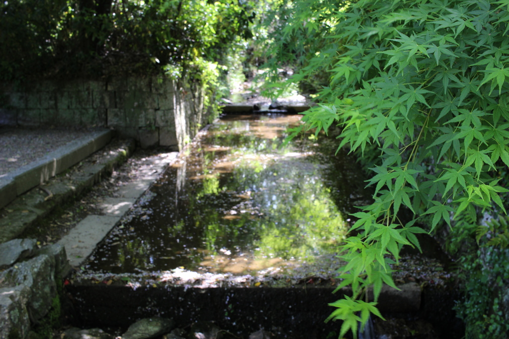 中山神社4