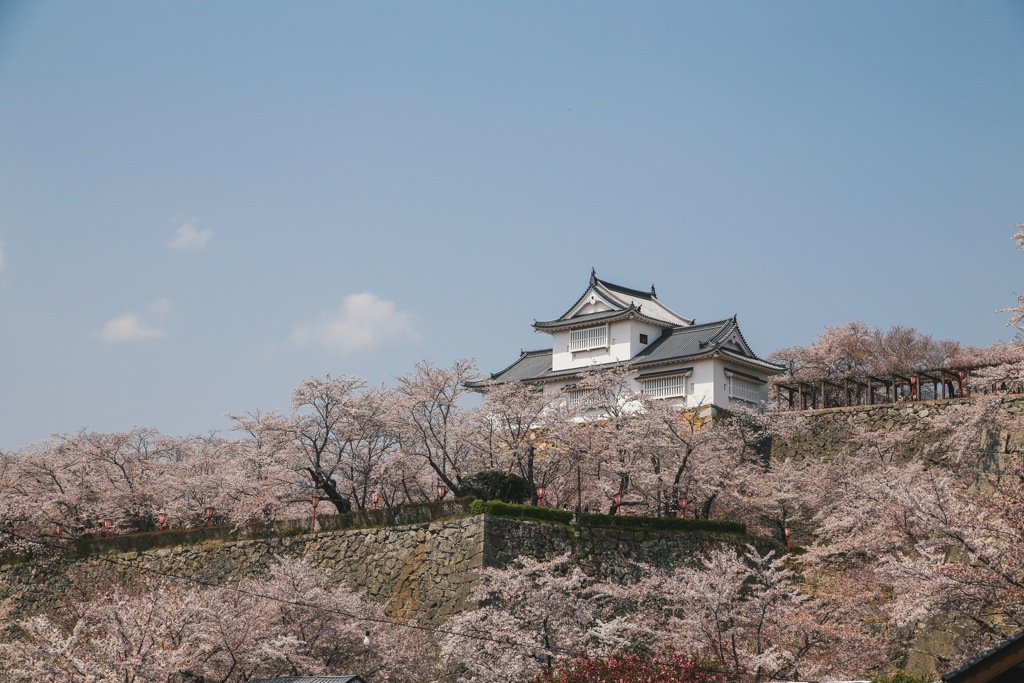 鶴山公園その7