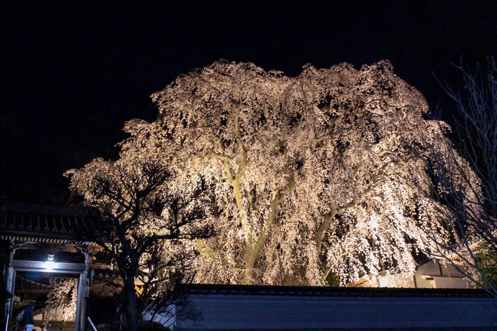 千光寺 その4