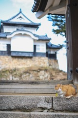 天守閣とさんじゅーろー