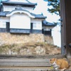 天守閣とさんじゅーろー