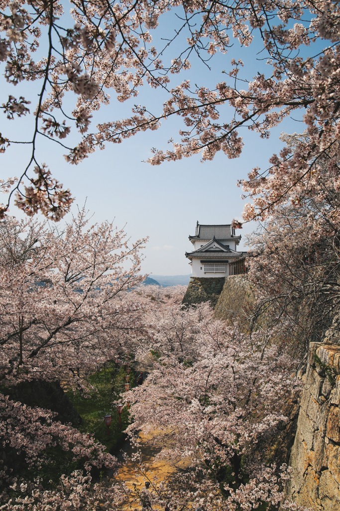 鶴山公園その2