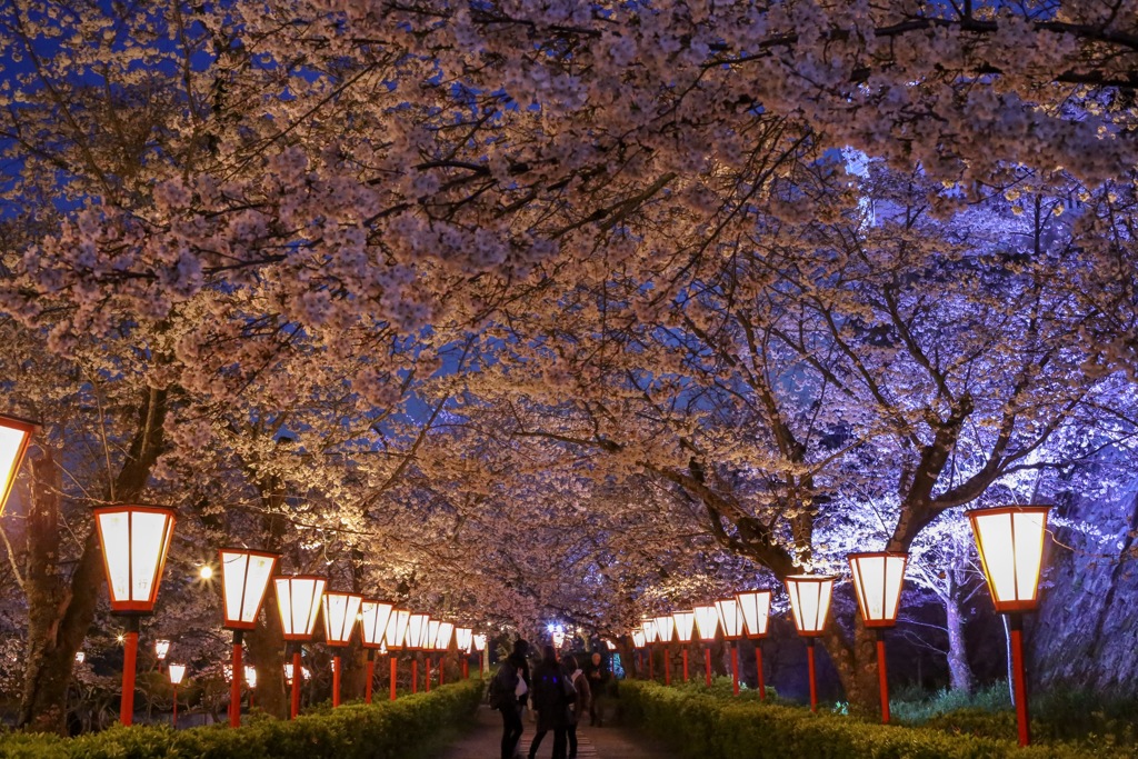 鶴山公園 その2