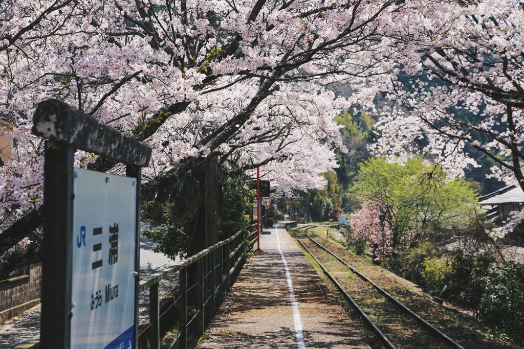 三浦駅その3