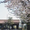 桜と駅舎