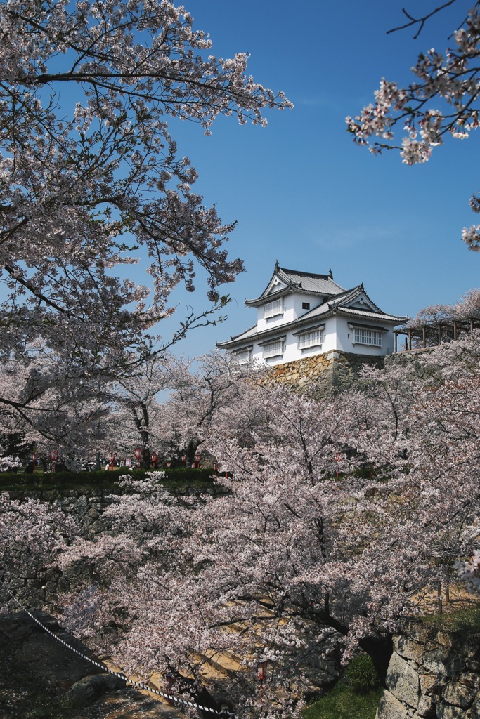 鶴山公園