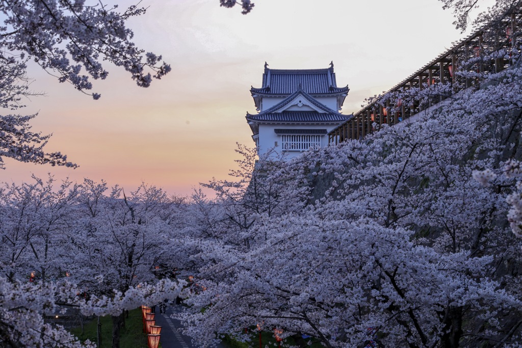 鶴山公園 その7