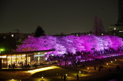 世界で一番美しいスタバ